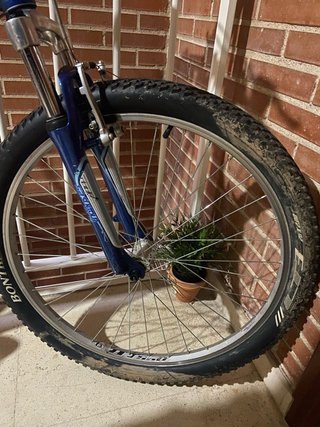 Bicicleta