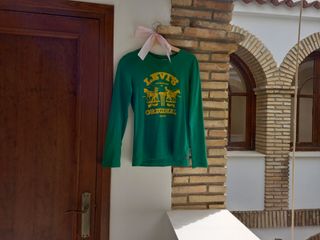 Camiseta Levis logo💚 Levis logo T-shirt💚