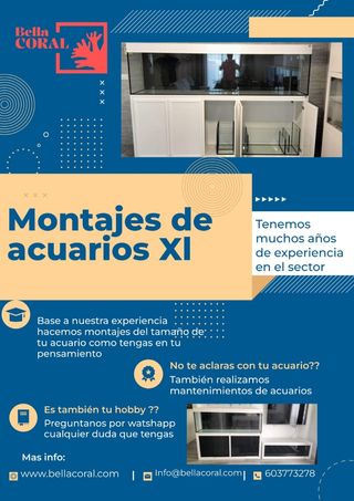 Montaje de acuarios