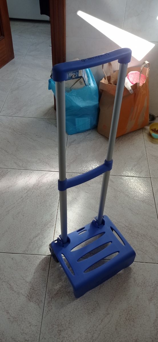 Mochila de los descendientes