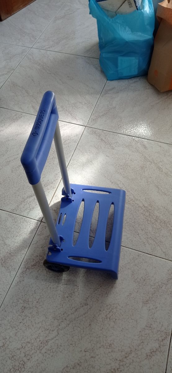 Mochila de los descendientes