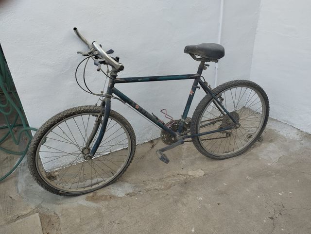 Bicicleta en Catral