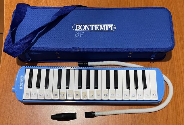 Diamonica Bontempi + 4 libri metodi