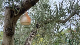 jardin i linpieza de parcela