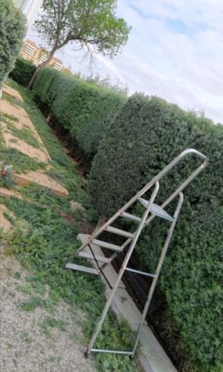 Mantenimiento de jardines 