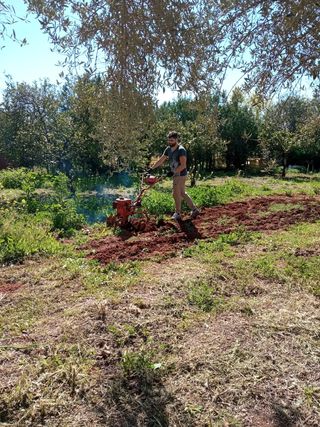 Jardinería poda desbroce