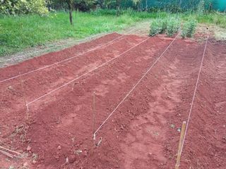 Jardinería poda desbroce