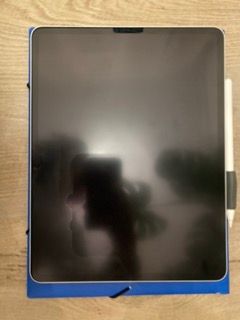 Ipad PRO 2022 12,9 pulgadas 256 GB