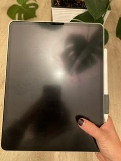Ipad PRO 2022 12,9 pulgadas 256 GB