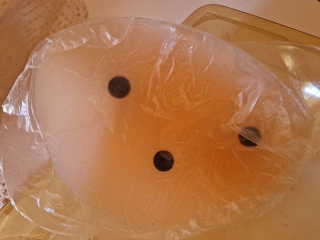 Reggiseno in silicone Tg 2D