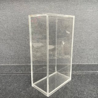 Case plexiglas Pokemon v shiny
