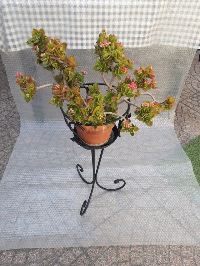 Portavasi in ferro - Vintage