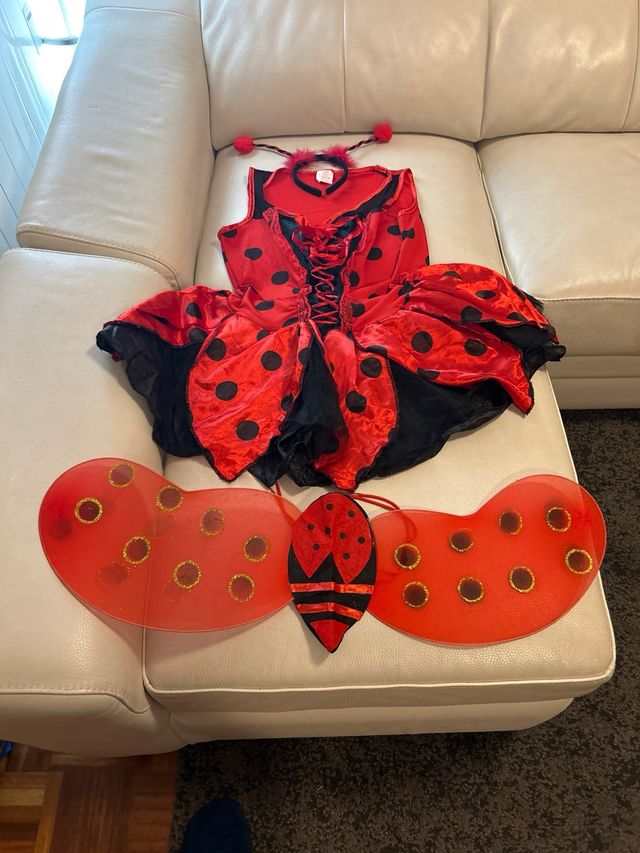 Disfraz mariquita