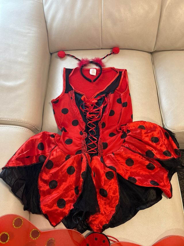 Disfraz mariquita