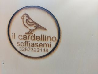 limpieza de semillas de pájaros