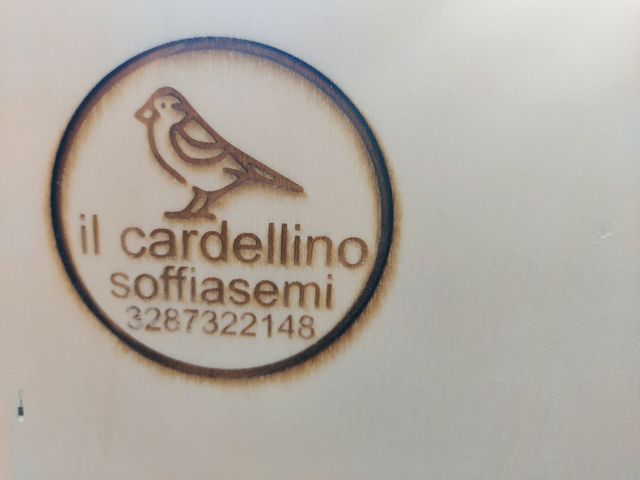 limpieza de semillas de pájaros