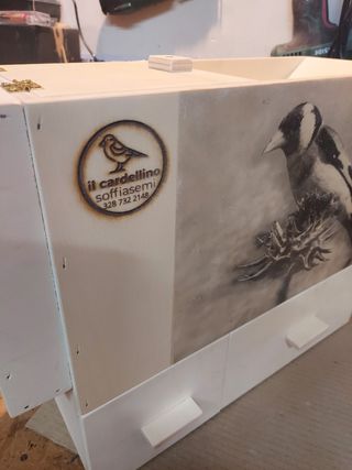 limpieza de semillas de pájaros