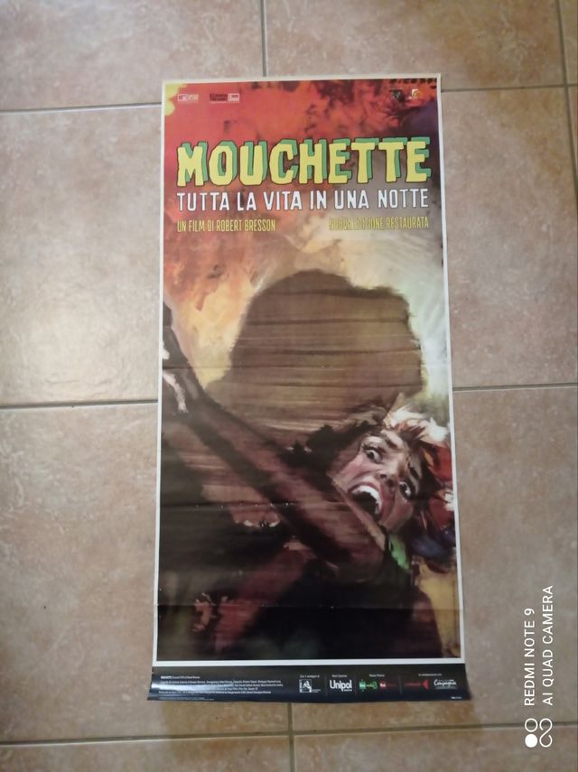 Locandina del film Mouchette