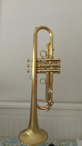 NUEVO TROMPETA PRO CAROL BRASS TOREADOR SATINADA