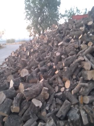 Venta de leña olivo al por mayor