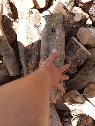 Venta de leña olivo al por mayor