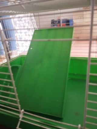 Jaula grande para hurón