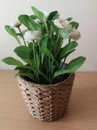 Conjunto de tiesto de flores blancas con cesto