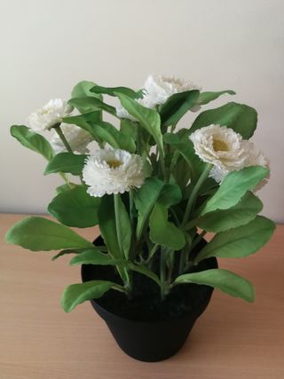 Conjunto de tiesto de flores blancas con cesto