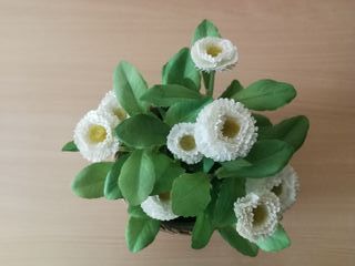 Conjunto de tiesto de flores blancas con cesto