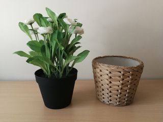 Conjunto de tiesto de flores blancas con cesto