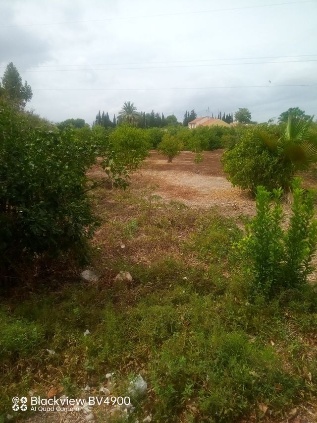 Terreno rústico en venta 1.240mt, San Gines,murcia