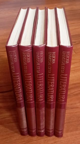 VENDO Y ENVÍO LIBROS LENGUA LITERATURA GRAMÁTICA