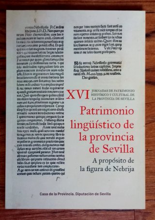 VENDO Y ENVÍO LIBROS LENGUA LITERATURA GRAMÁTICA