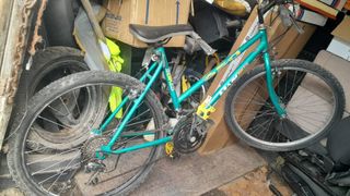 Bicicleta de paseo