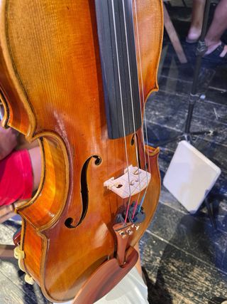 Viola 16” Sonido, calidad y acabados