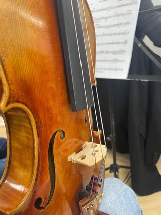 Viola 16” Sonido, calidad y acabados