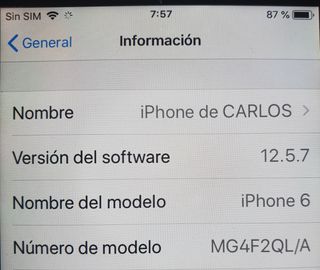 Apple iPhone 6 64GB Gris espacial