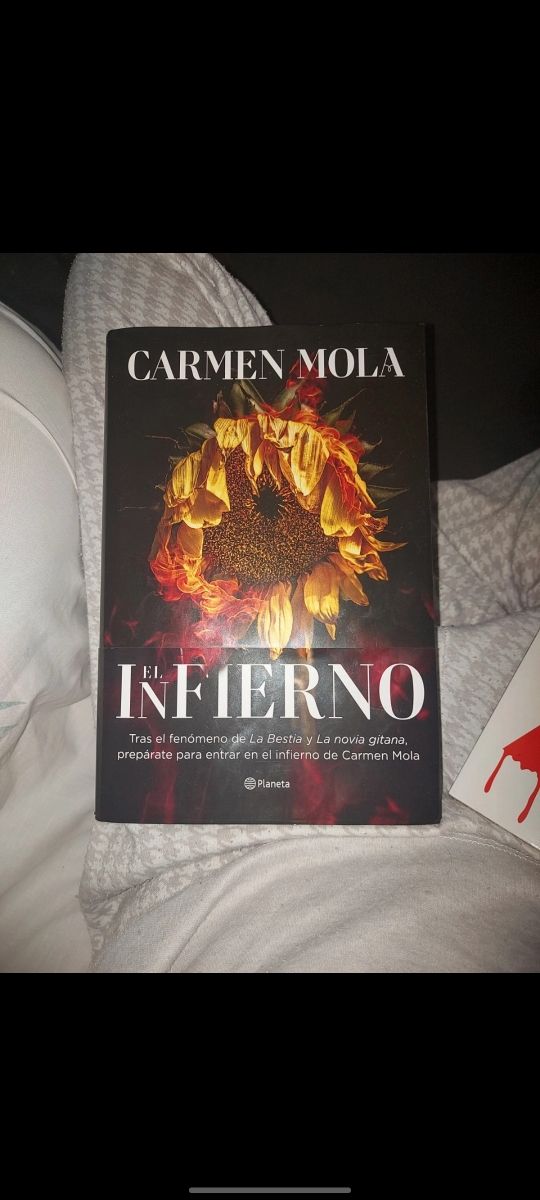 El Infierno Carmen Mola