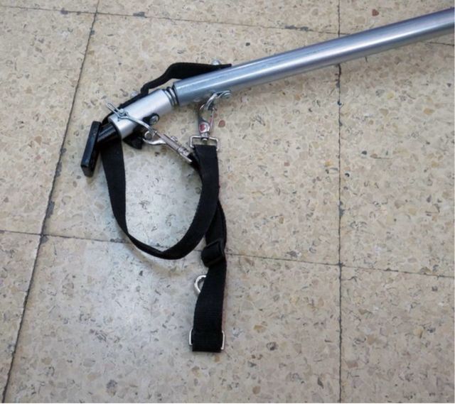 Carro/ Remolque Mascotas