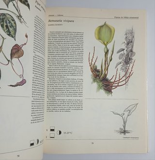 Libro Plantas de interior