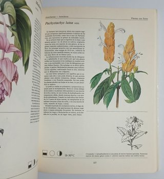 Libro Plantas de interior