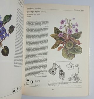 Libro Plantas de interior