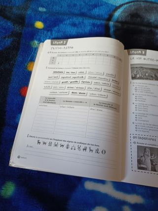 Libro texto parachute 3 frances