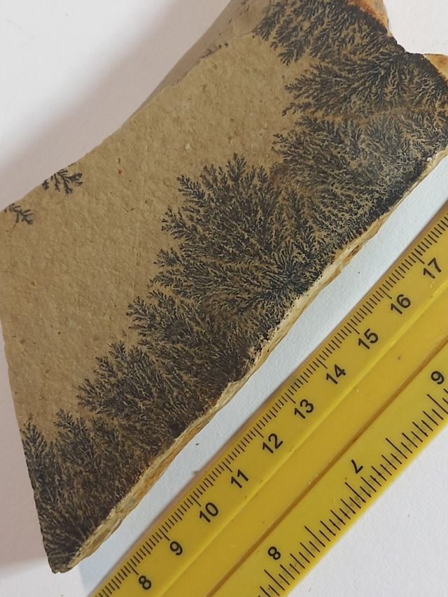 Dendridi di manganese