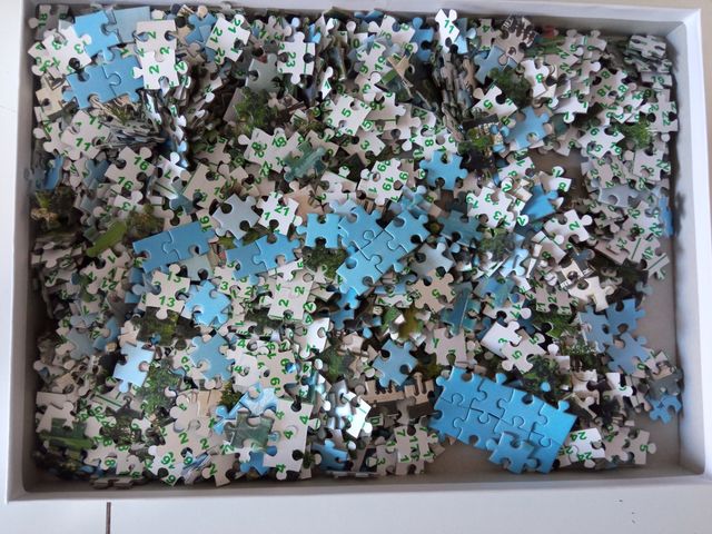 Puzzle 1000 piezas.