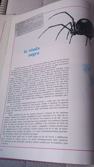 Libro La naturaleza reino animal