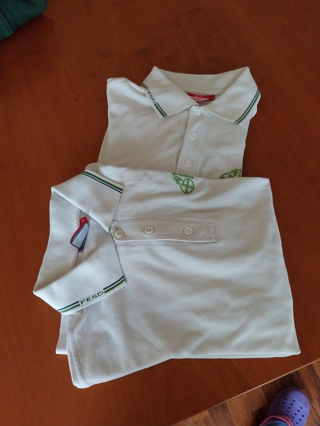 2 Polo Feed ML taglia 16