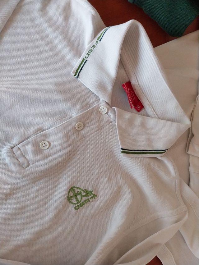 2 Polo Feed ML taglia 16