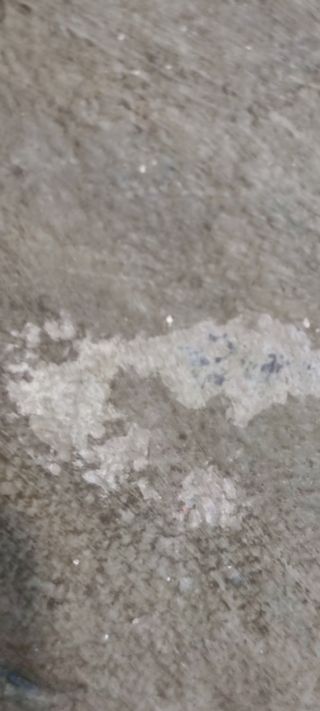 Cuadro de pintura  firmado