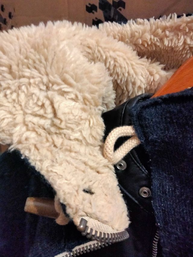 CHAQUETA, CAZADORA CHICO